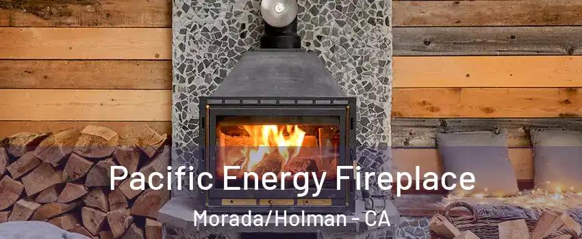 Pacific Energy Fireplace Morada/Holman - CA