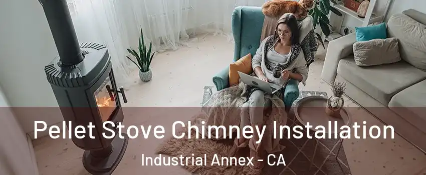 Pellet Stove Chimney Installation Industrial Annex - CA